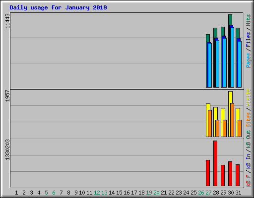 Daily usage for January 2019