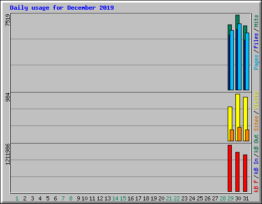 Daily usage for December 2019