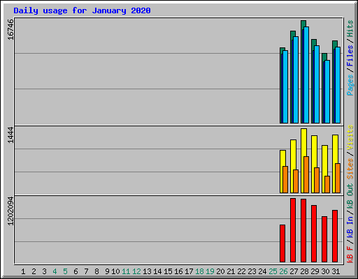 Daily usage for January 2020