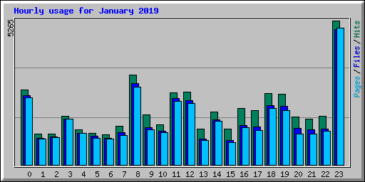 Hourly usage for January 2019