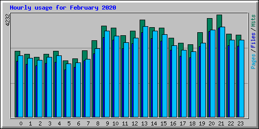 Hourly usage for February 2020