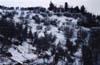 (Little) Snow in the olive-grove